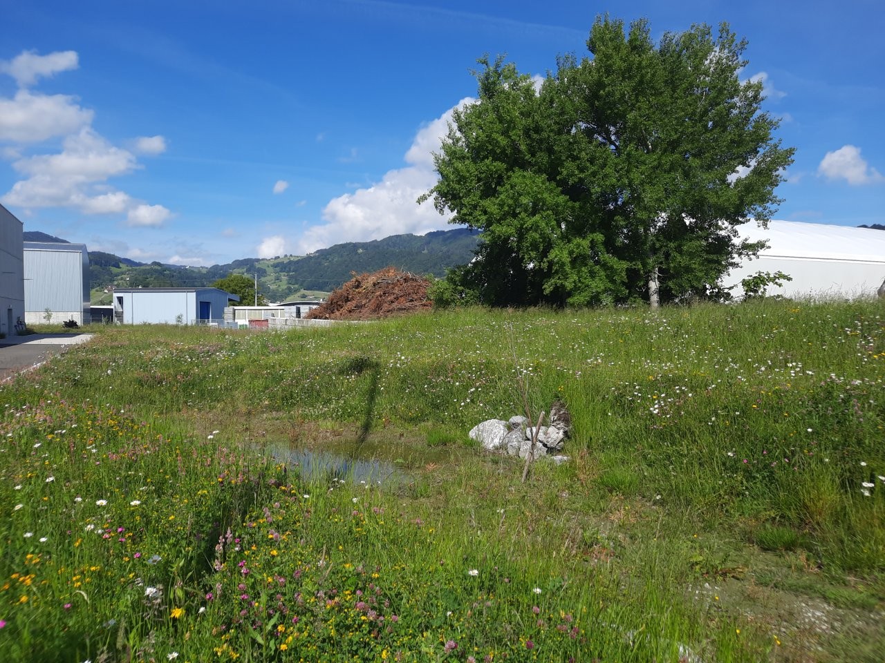 Rosenbergsau Naturnahe Umgebung