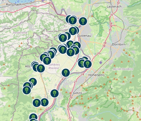 Screenshot Baumquartett Rheintal