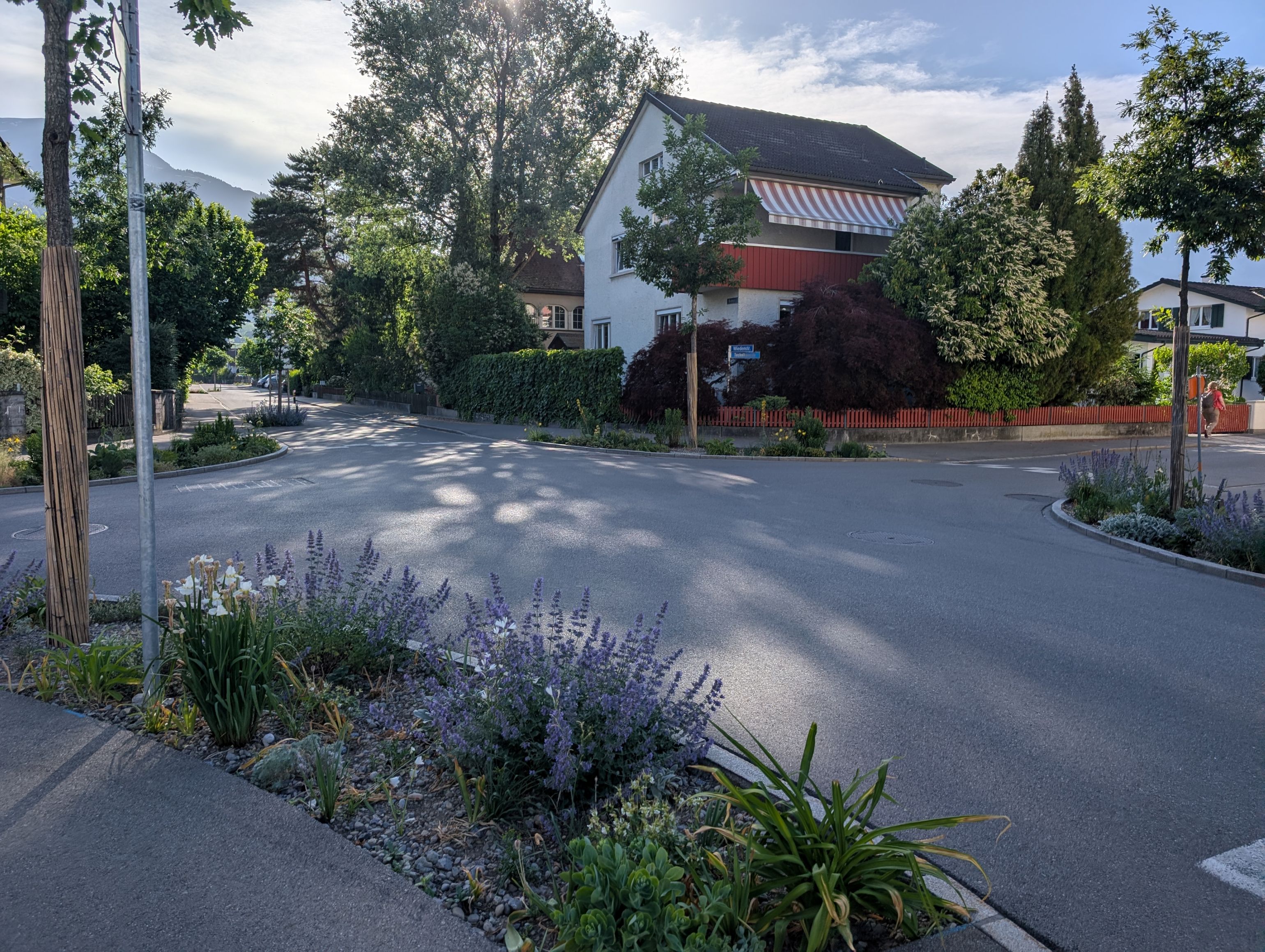 Wiedenstrasse1 Buchs