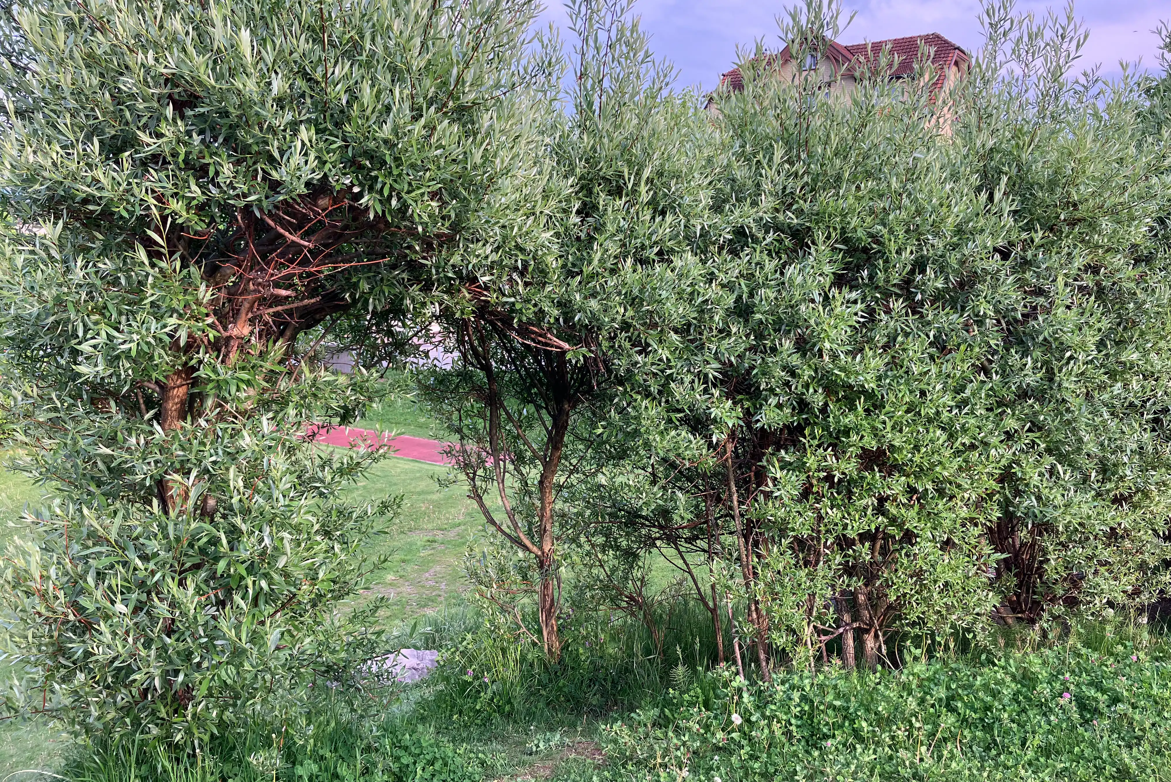 12 Schulhaus Grund 3