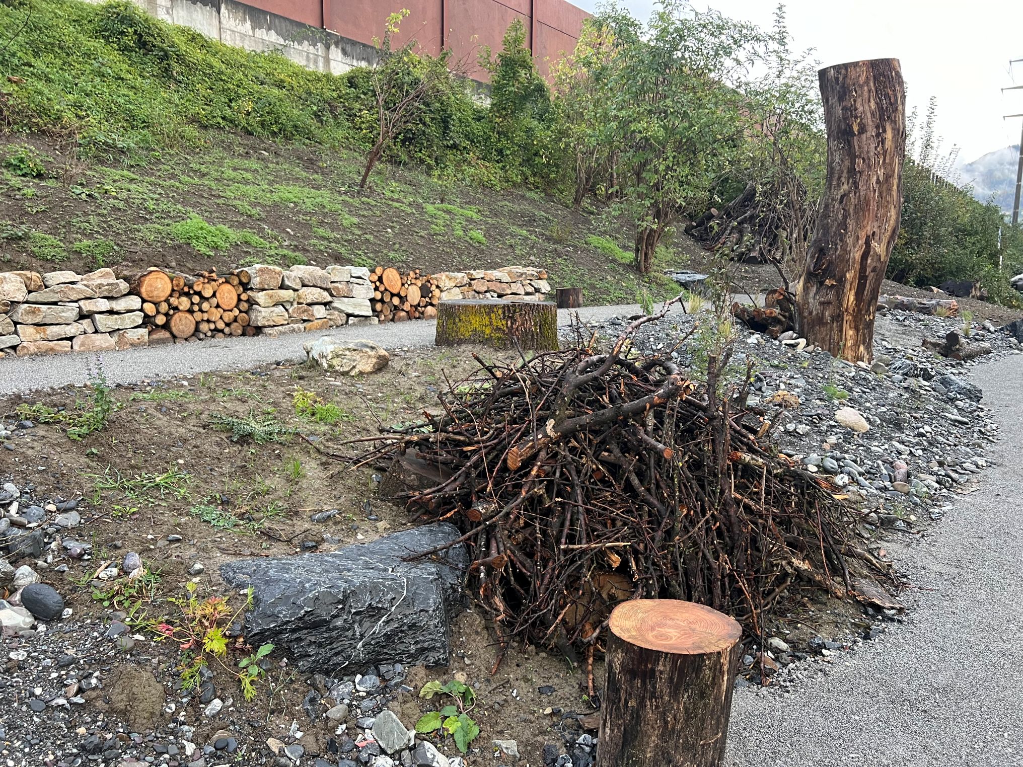 Rdz Sargans Asthaufen Naturinfo Wiesenhütter