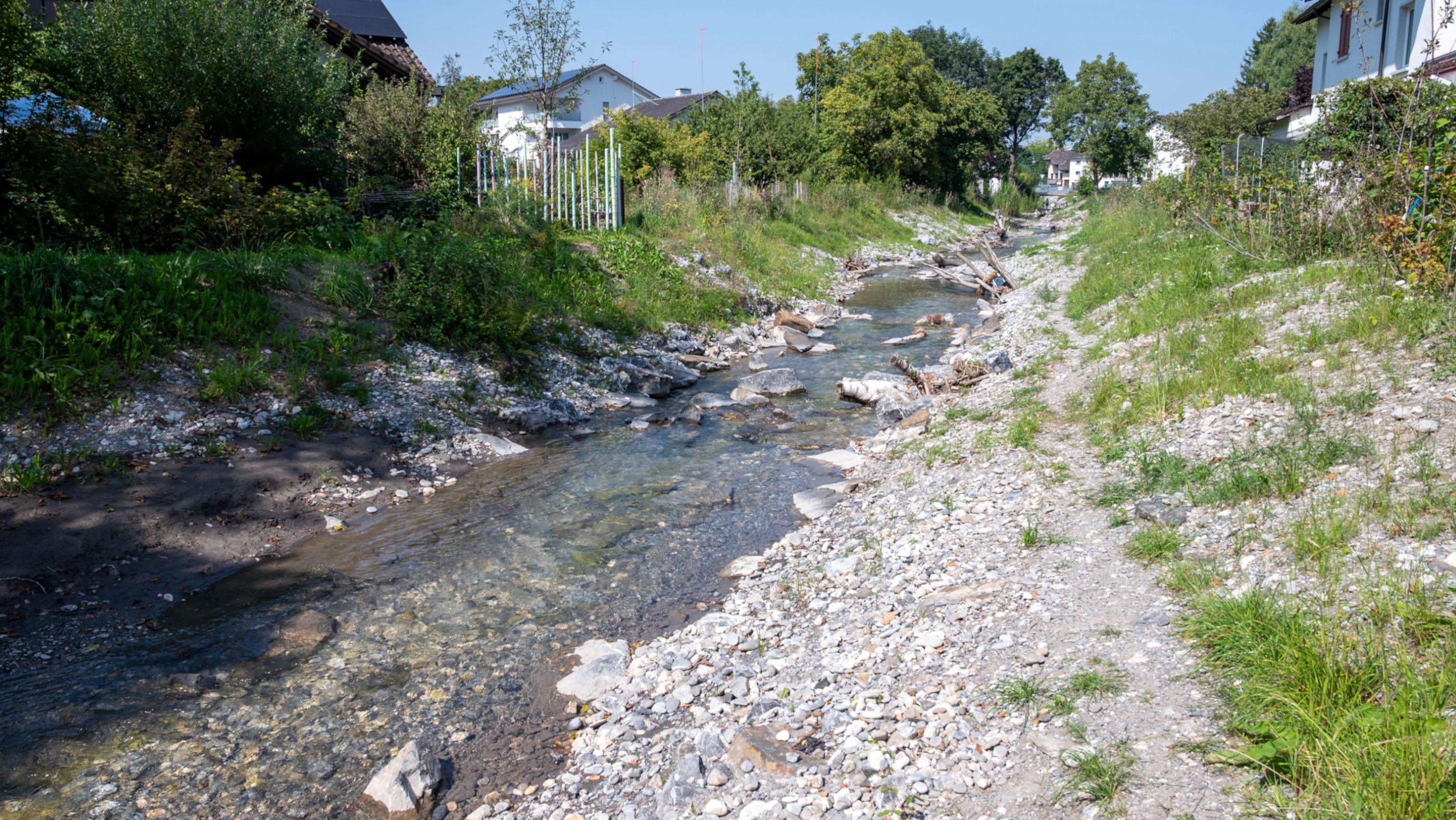 Sevelerbach Aline Dreifuss 2