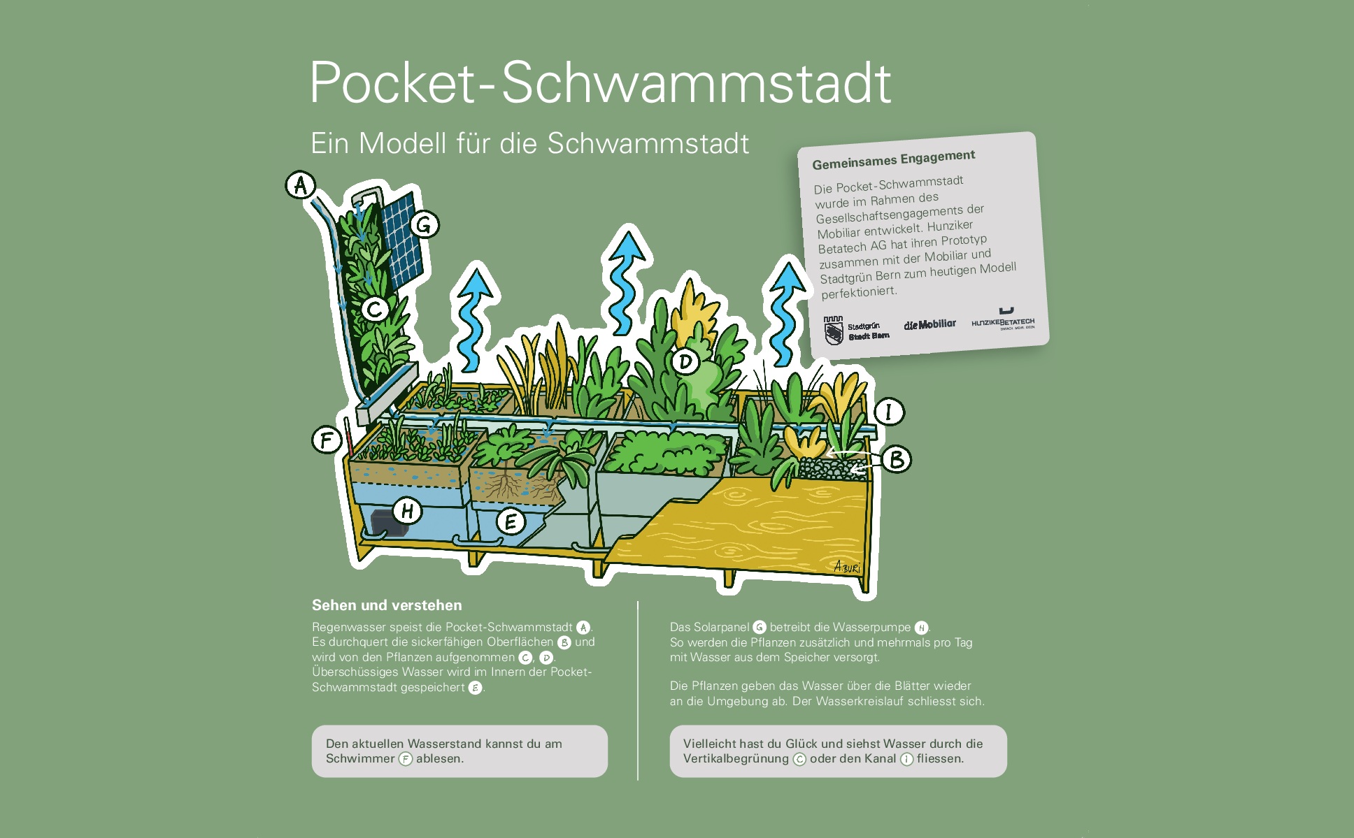 Dtb Ue Pocket Schwammstadt Tafeln Druck 0002 Länglich