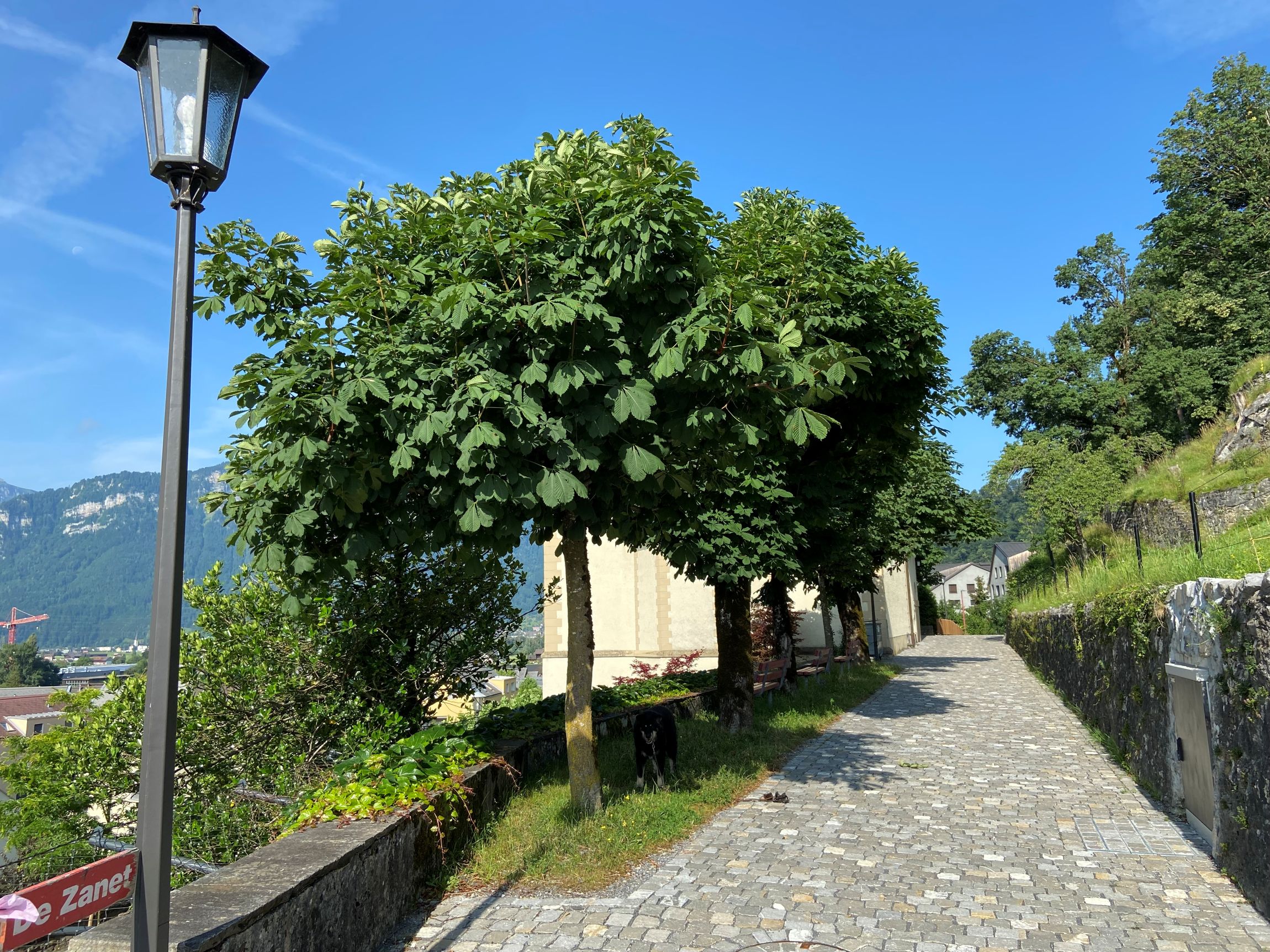 Weesen Büelstrasse Von Ost Juni 25 Klein