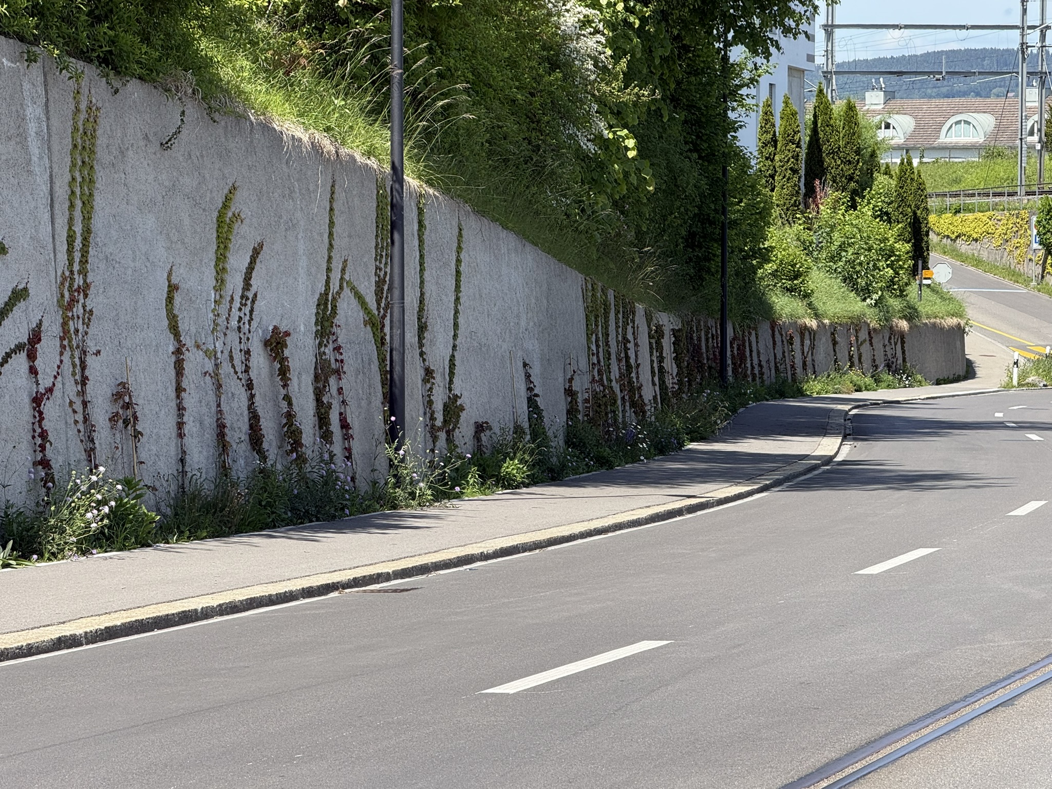 Friedbergstrasse Img 0229
