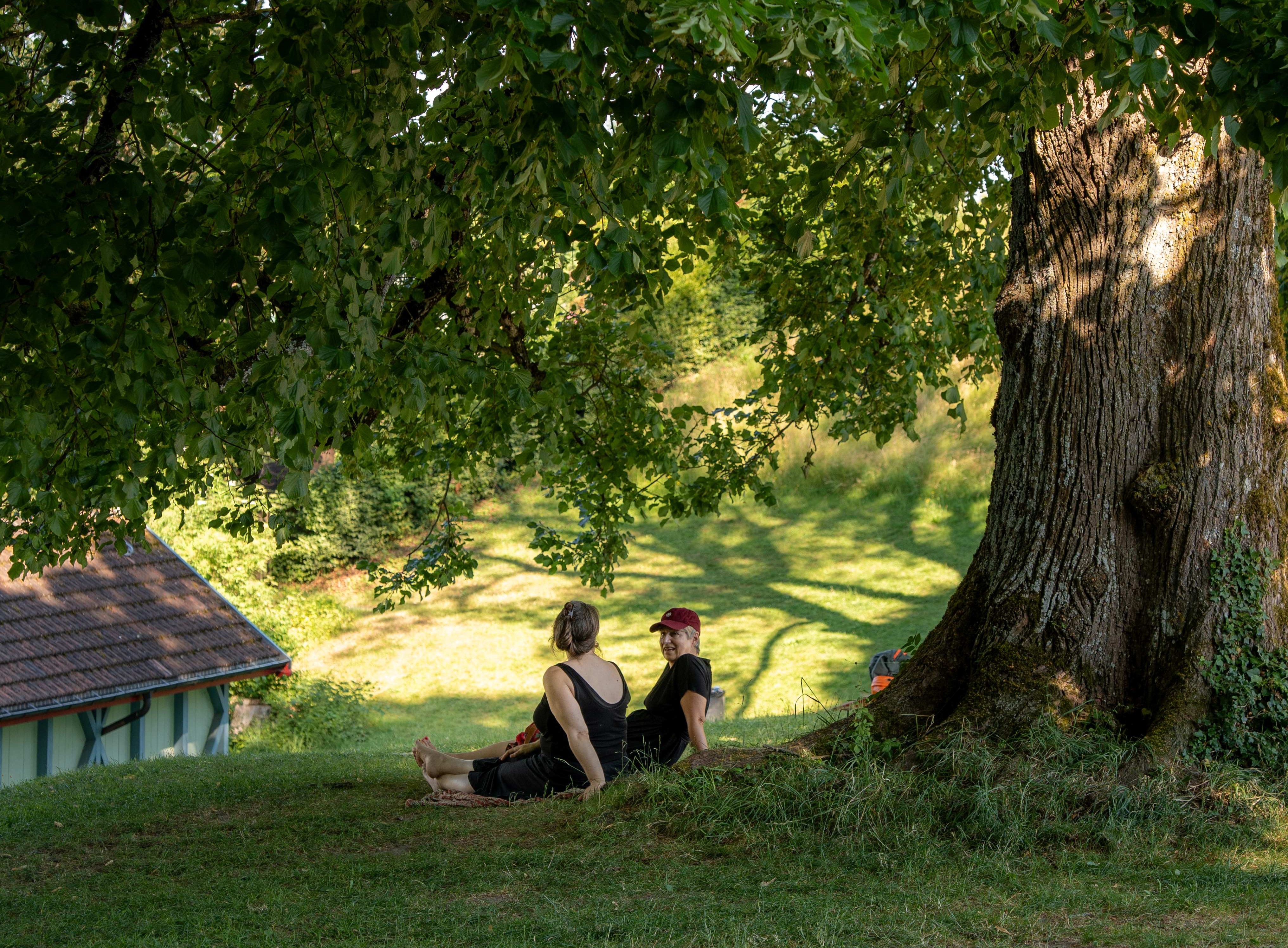 Schatten Unter Baum Zugeschnitten