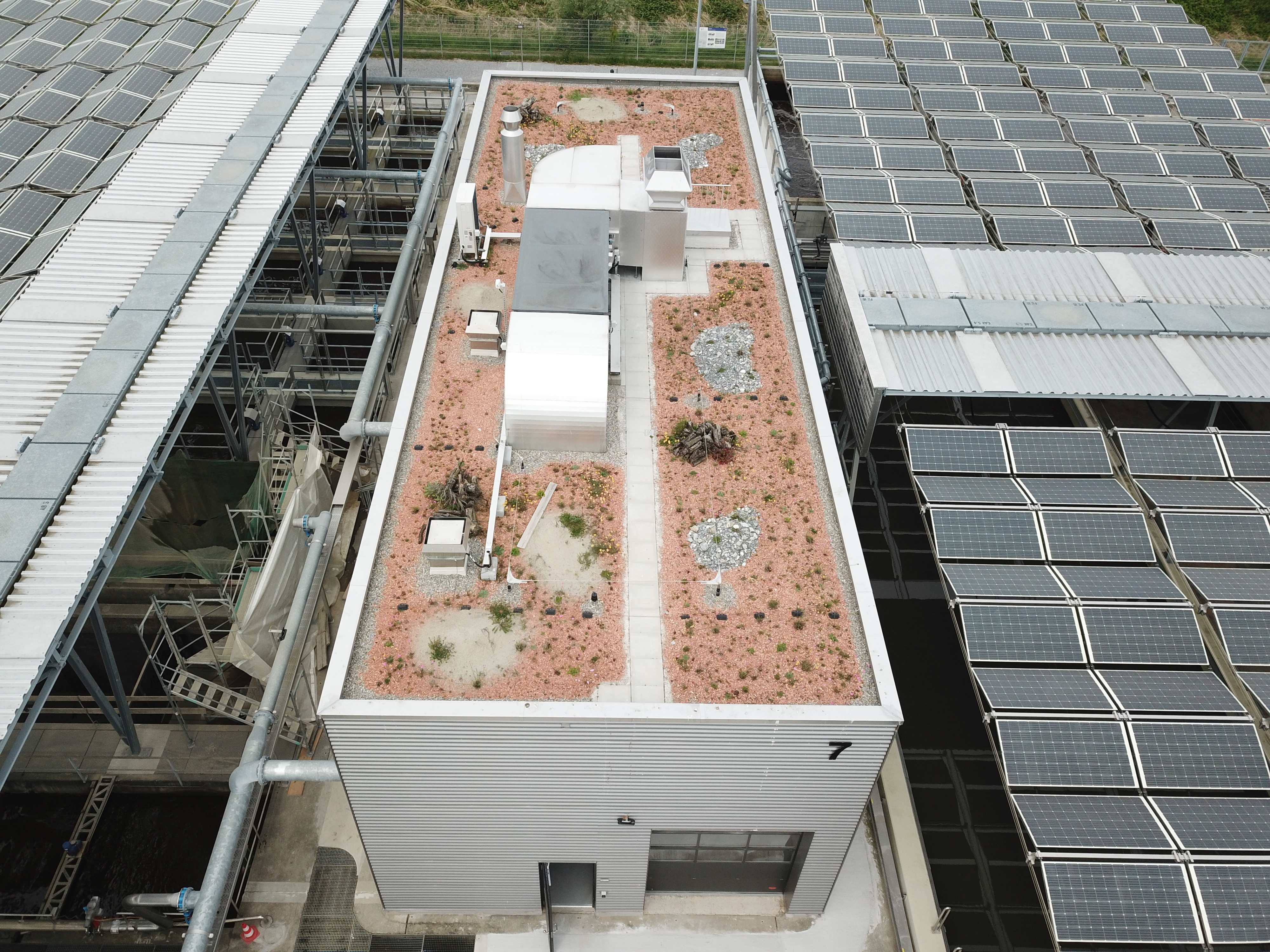 Dachbegruenung Maschinenhaus Dji 0023