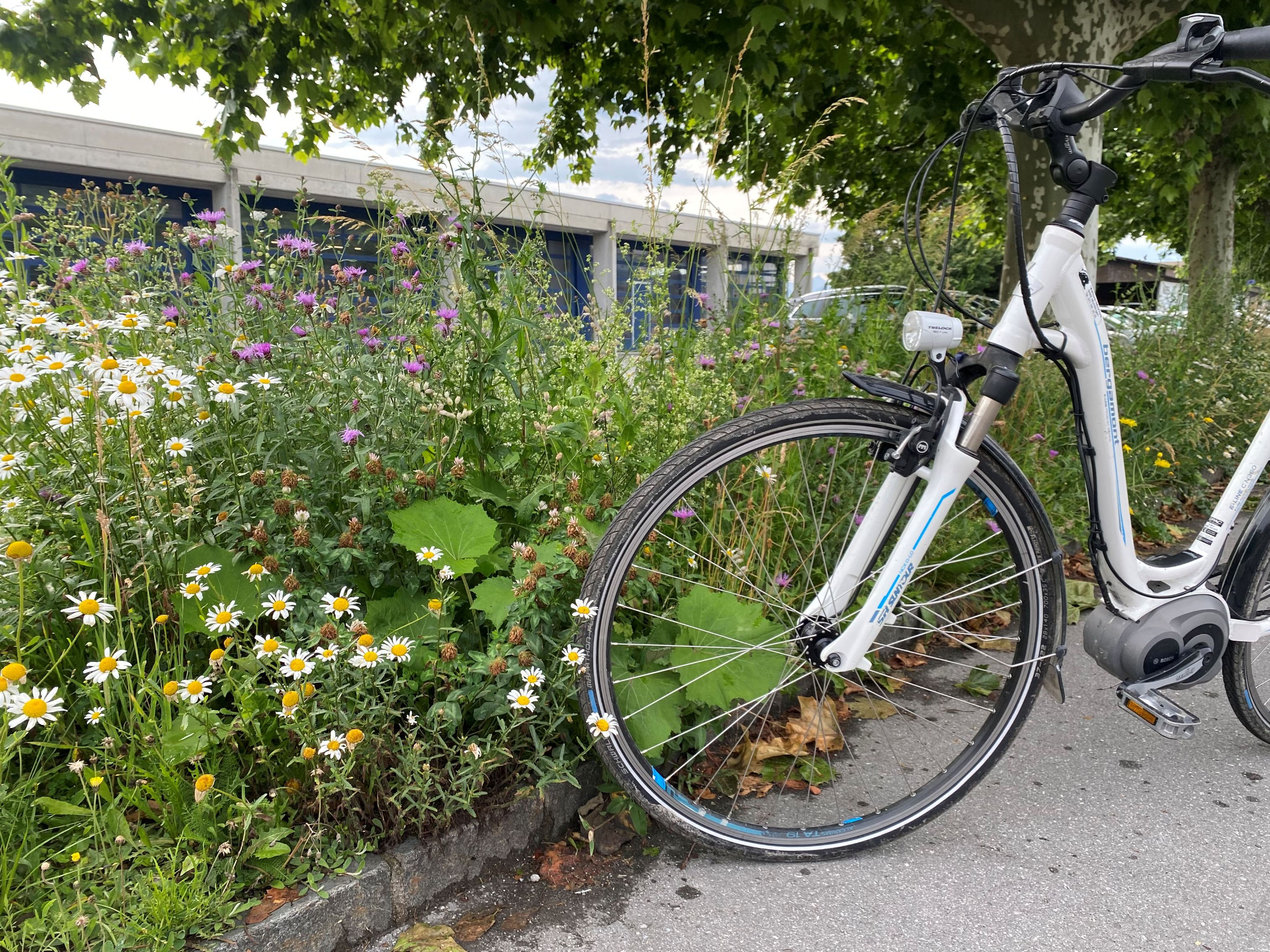 Uek; Biodiversitätsradrundweg Altstaetten