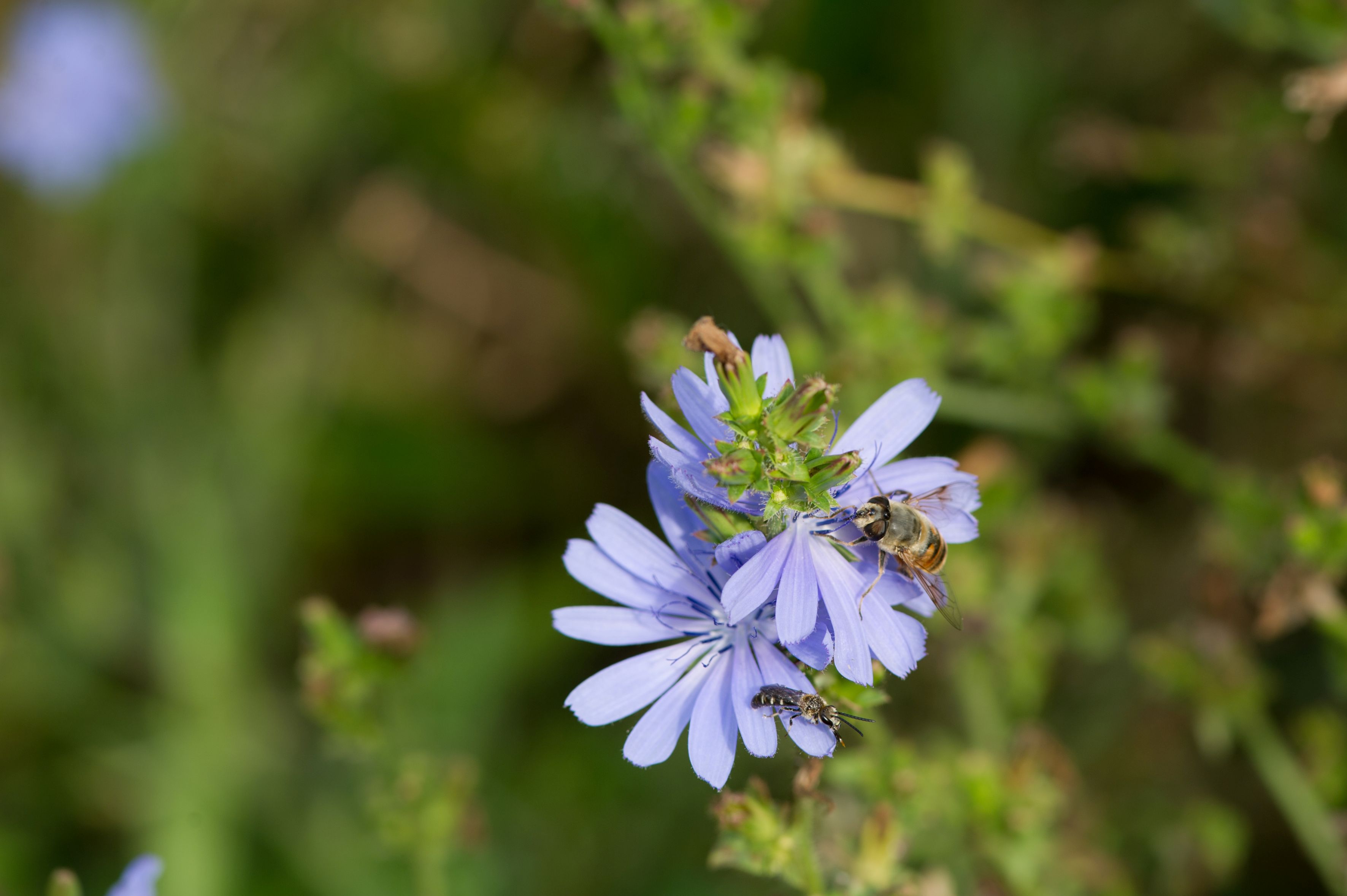 WWF Sg Gruen Druck 195