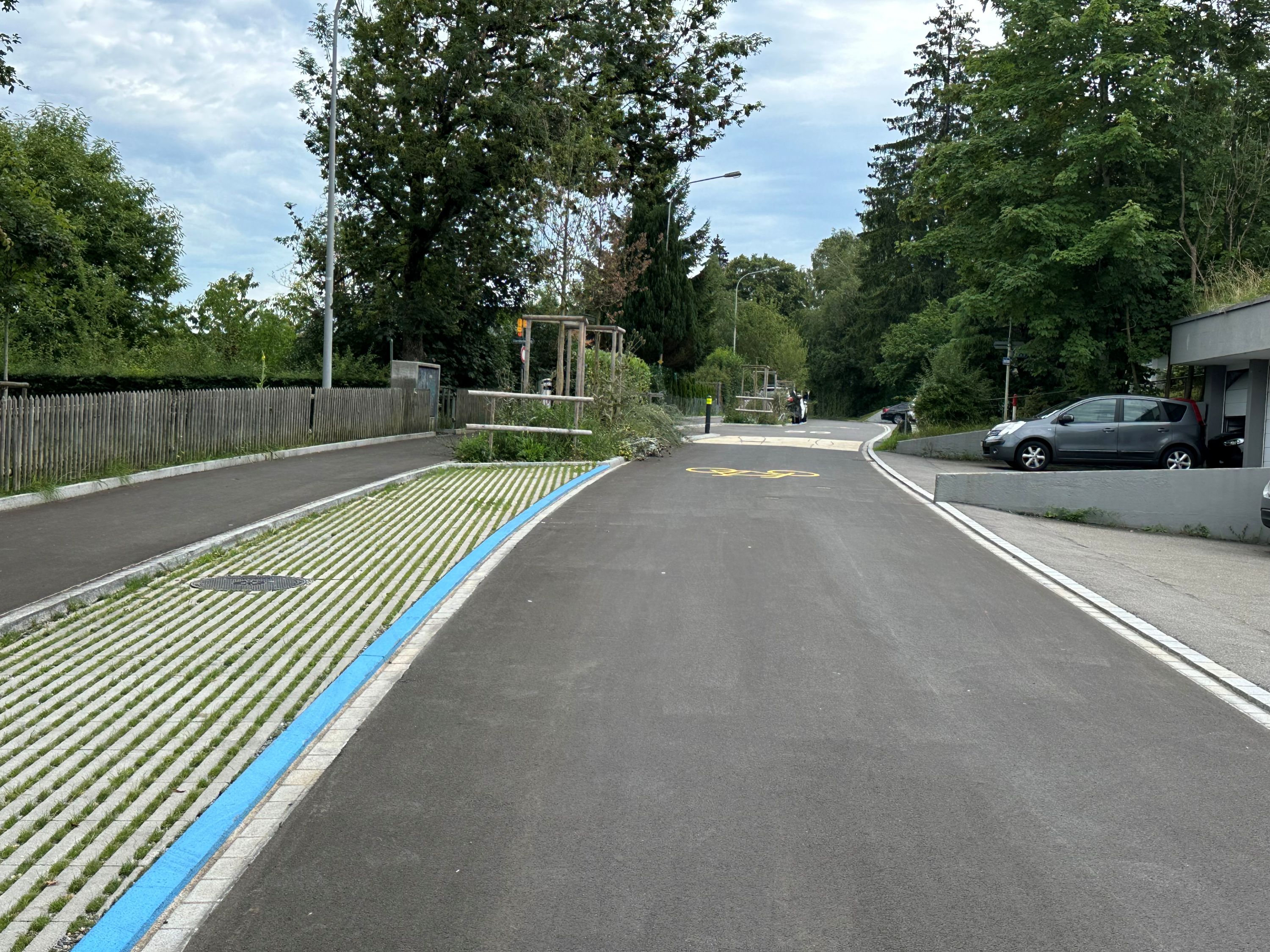 Entsiegelung Lehnstrasse St.gallen 2