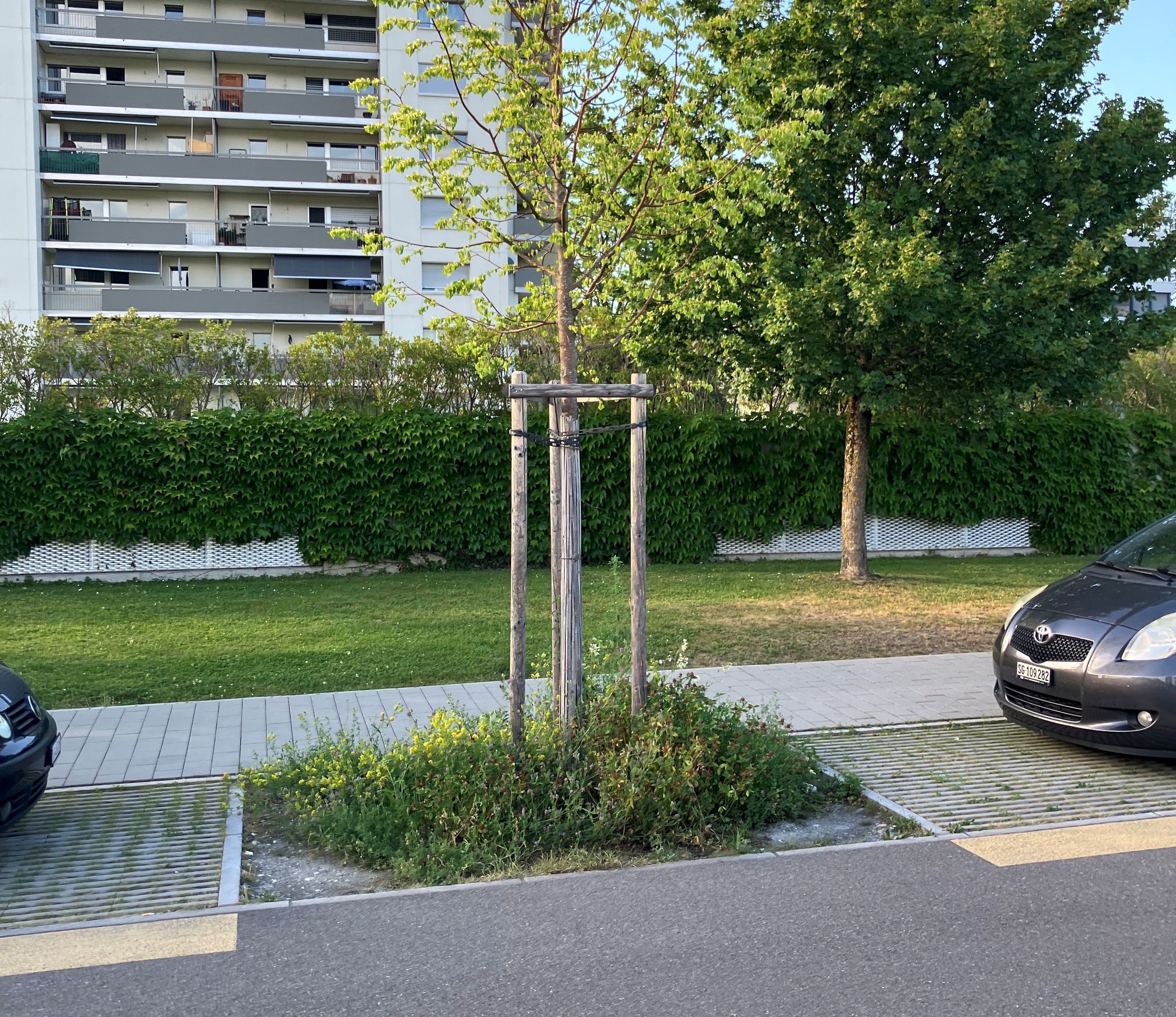 Werdenbergstrasse2 Buchs
