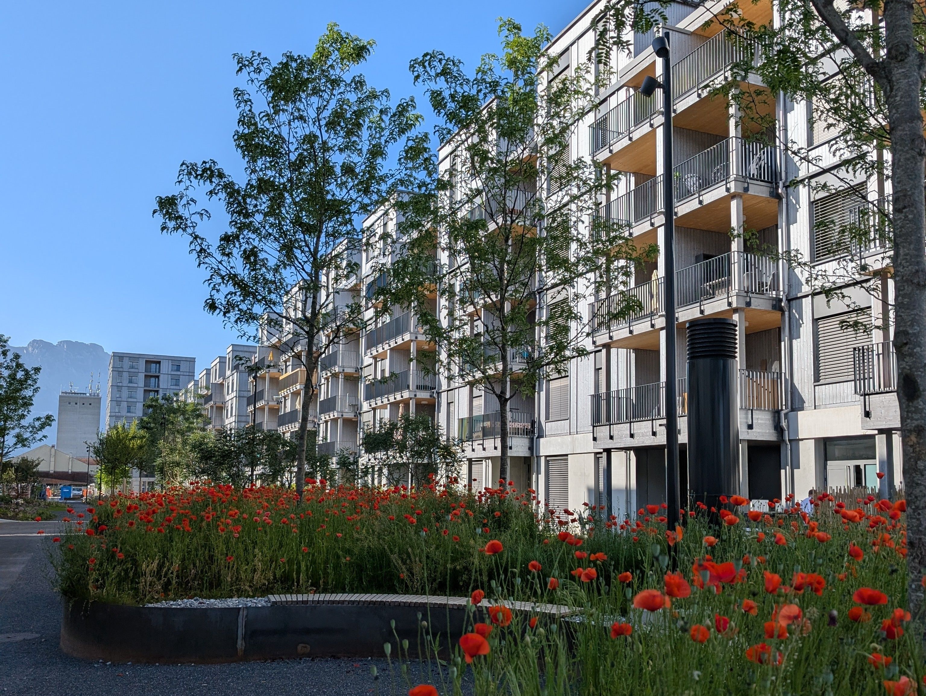 Rhein City Hochbeet3