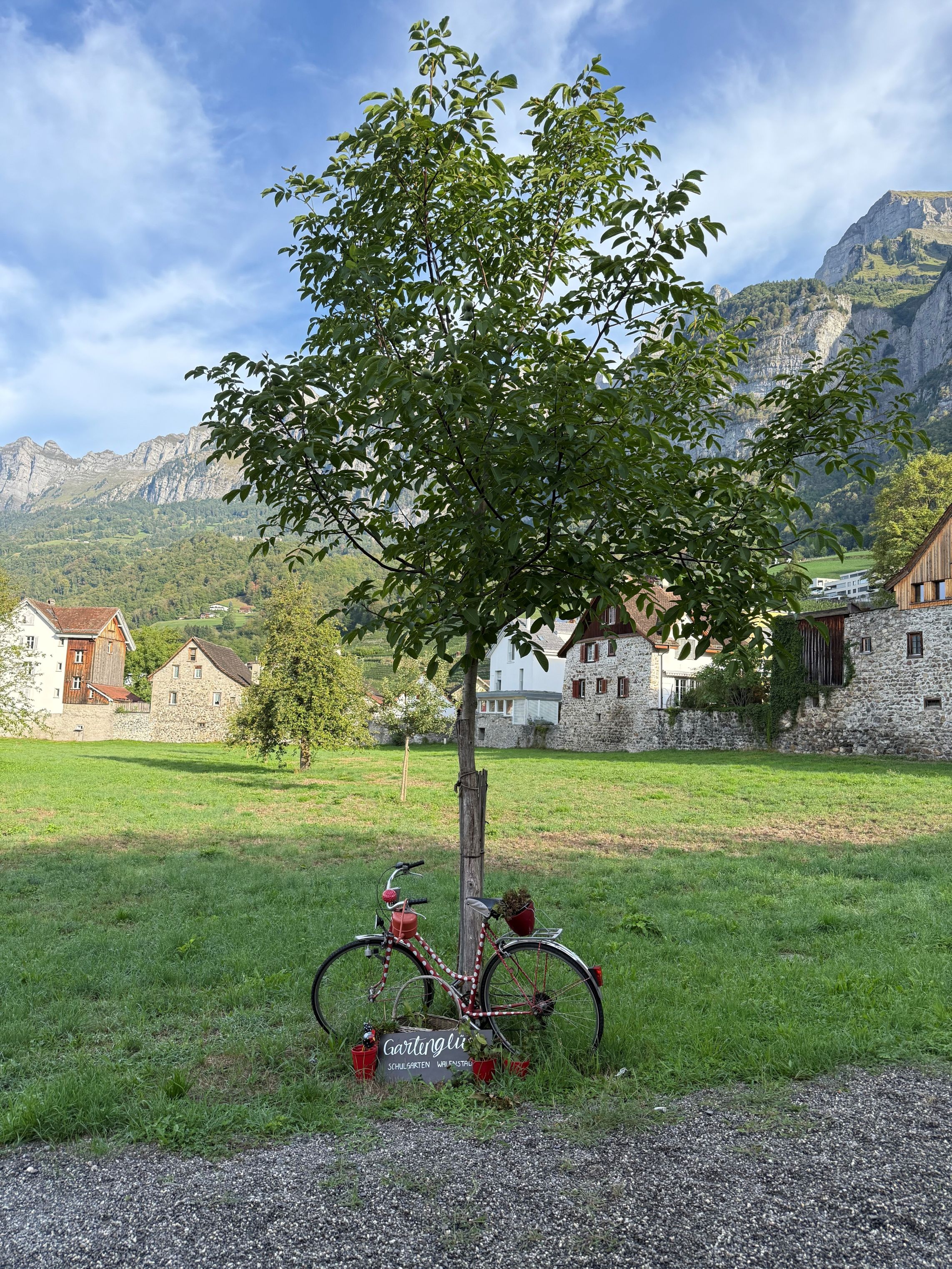 Walenstadt Städtlibungert2
