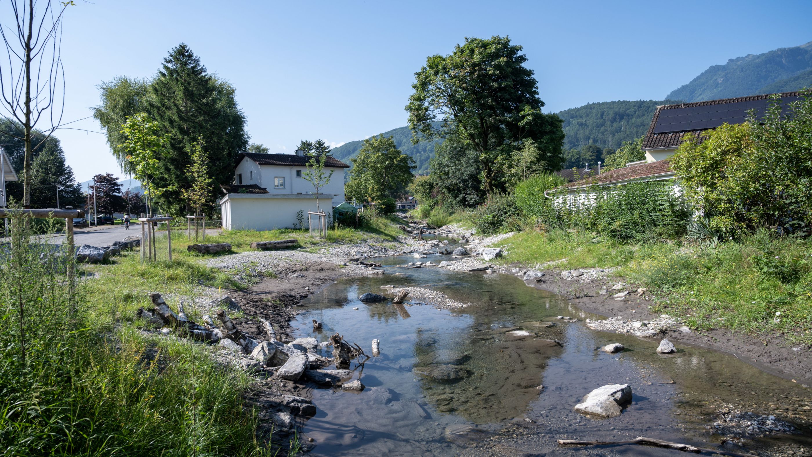 Sevelerbach Aline Dreifuss 3