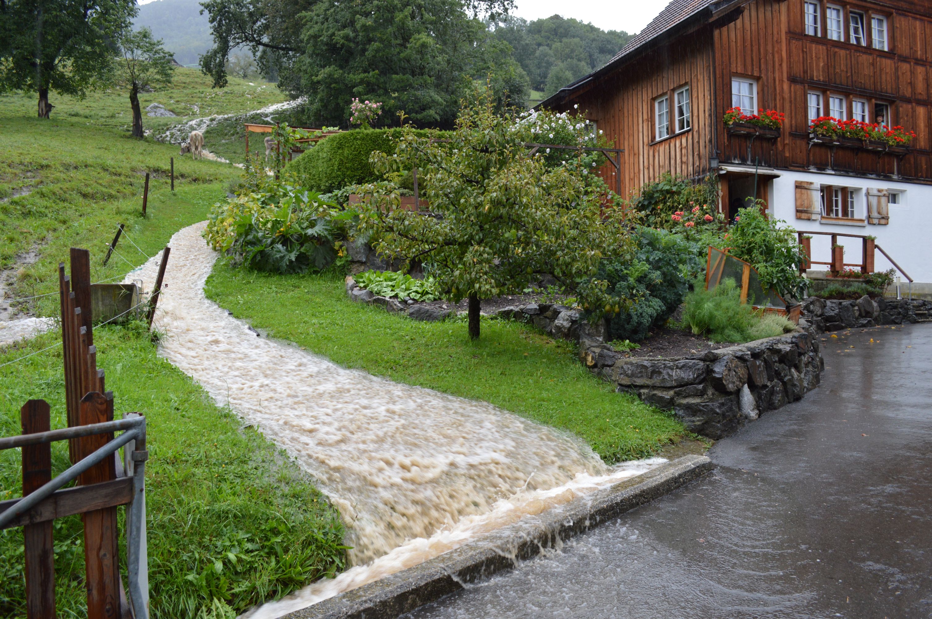 Einsatzplanung Altstaetten 1