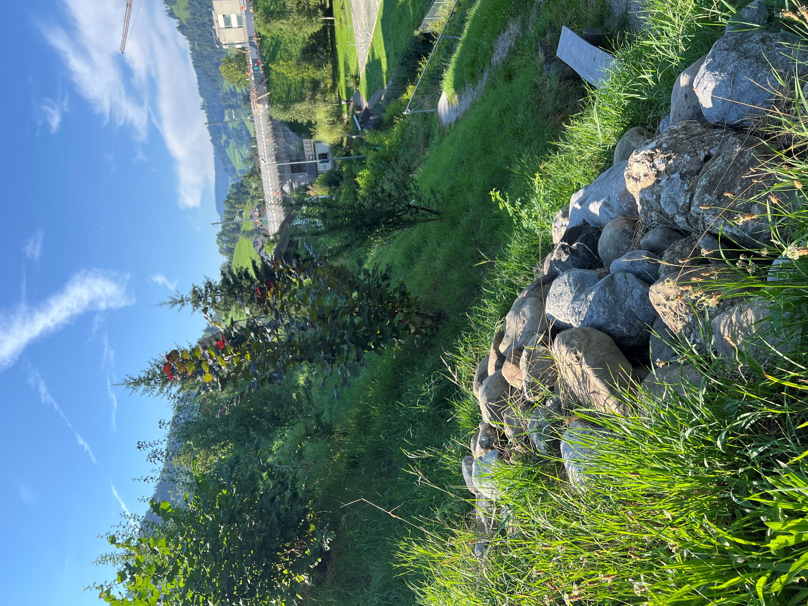 Lichtensteig Floozhang 2024 Naturinfo Petrawiesenhütter