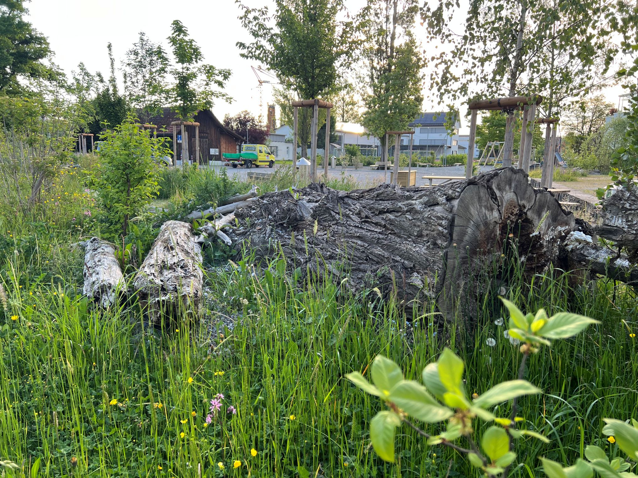 Begenungsplatz Altenrhein1