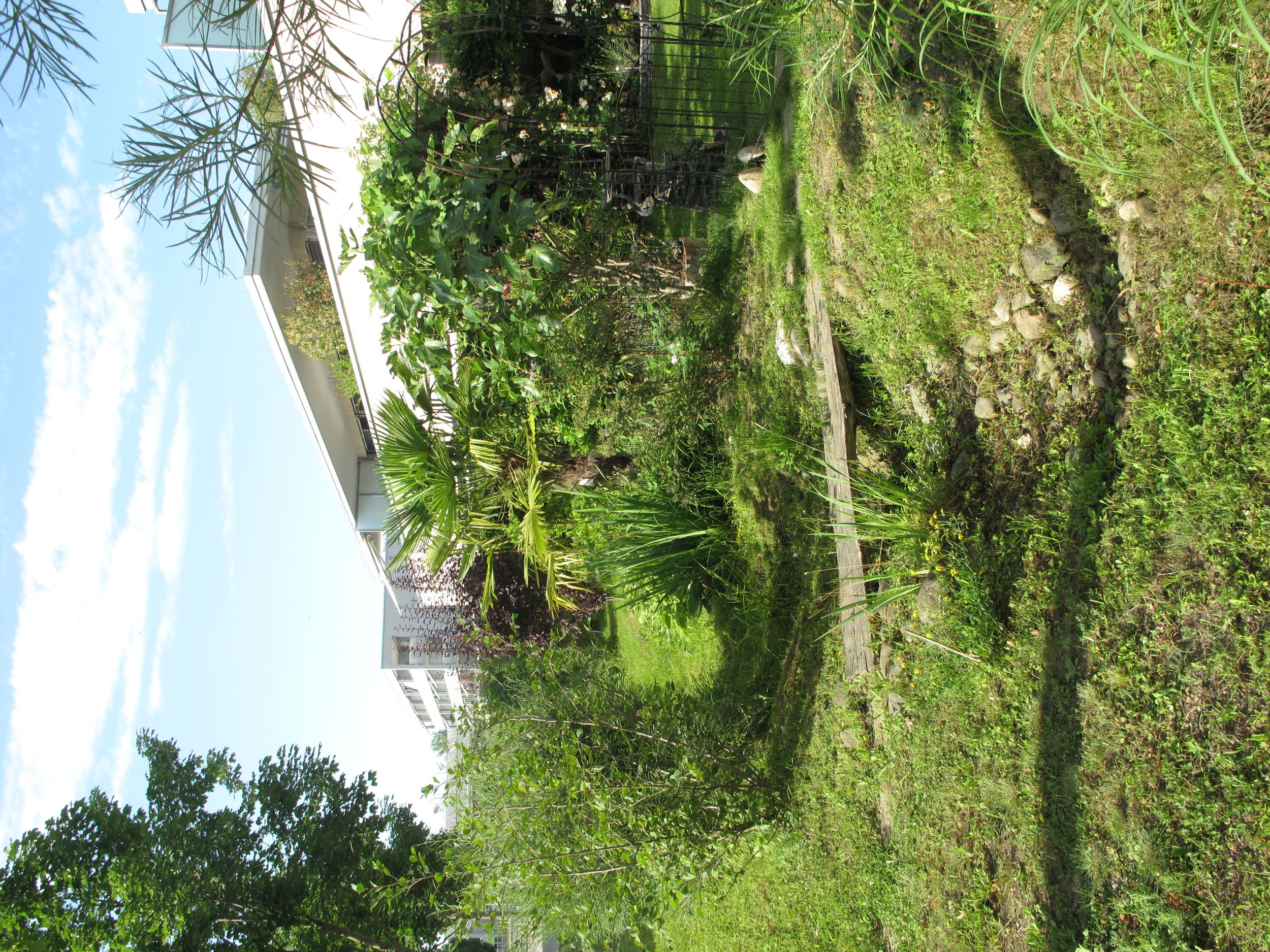 3 Begrünte Enwässerungsgräben Schönau Steinach