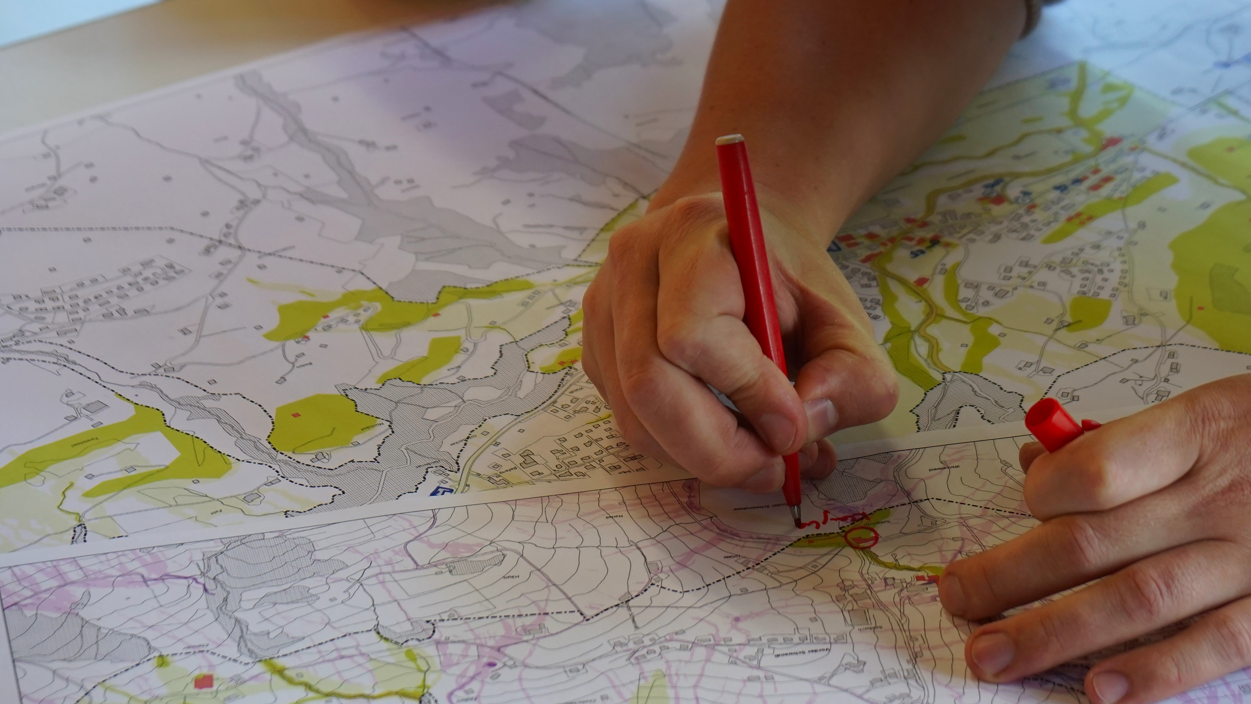 Einsatzplanung Wildhau Alt St Johann 4