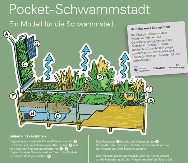 Pocketschwammstadt6