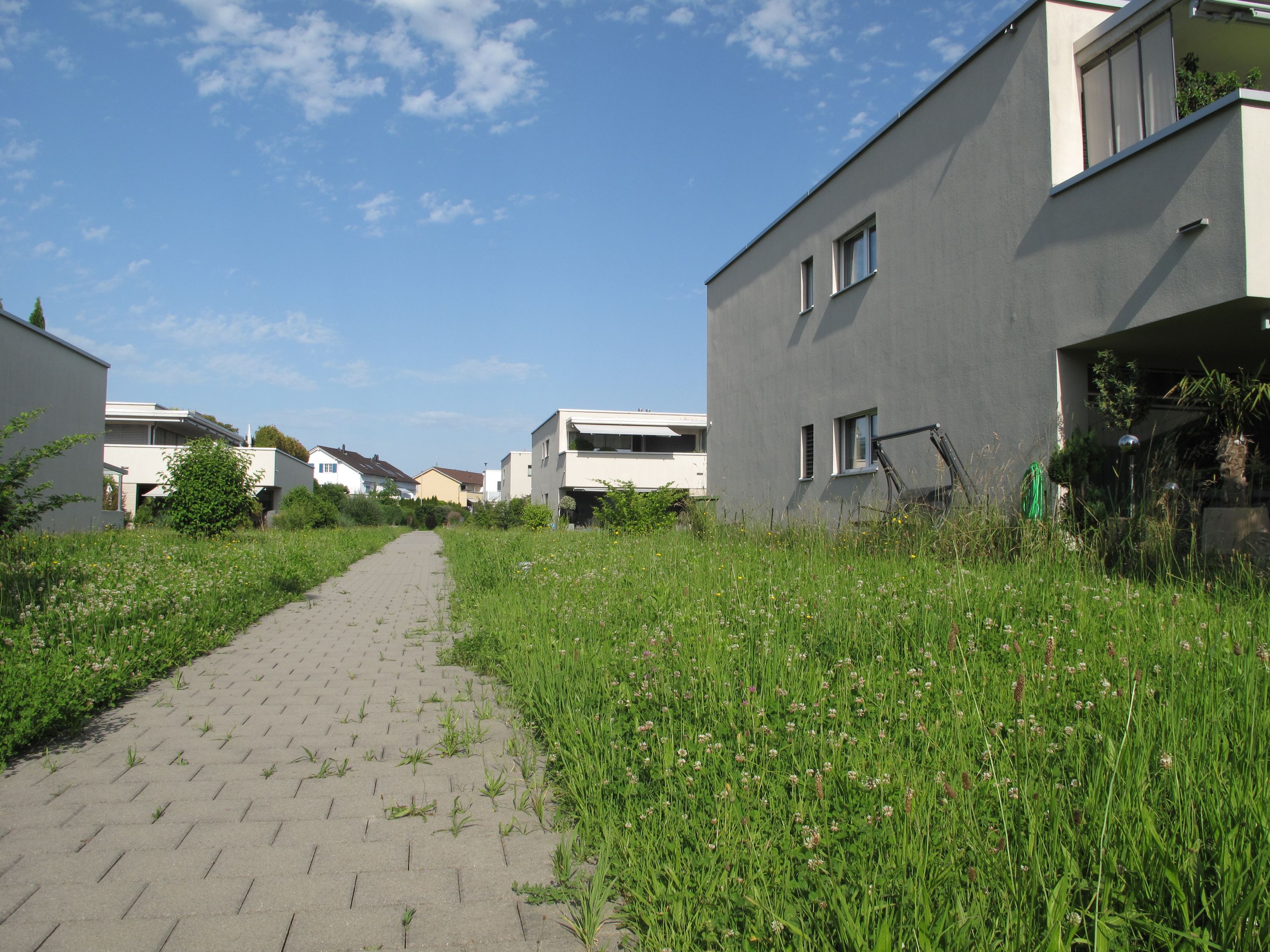 6 Fussweg Schönau Steinach