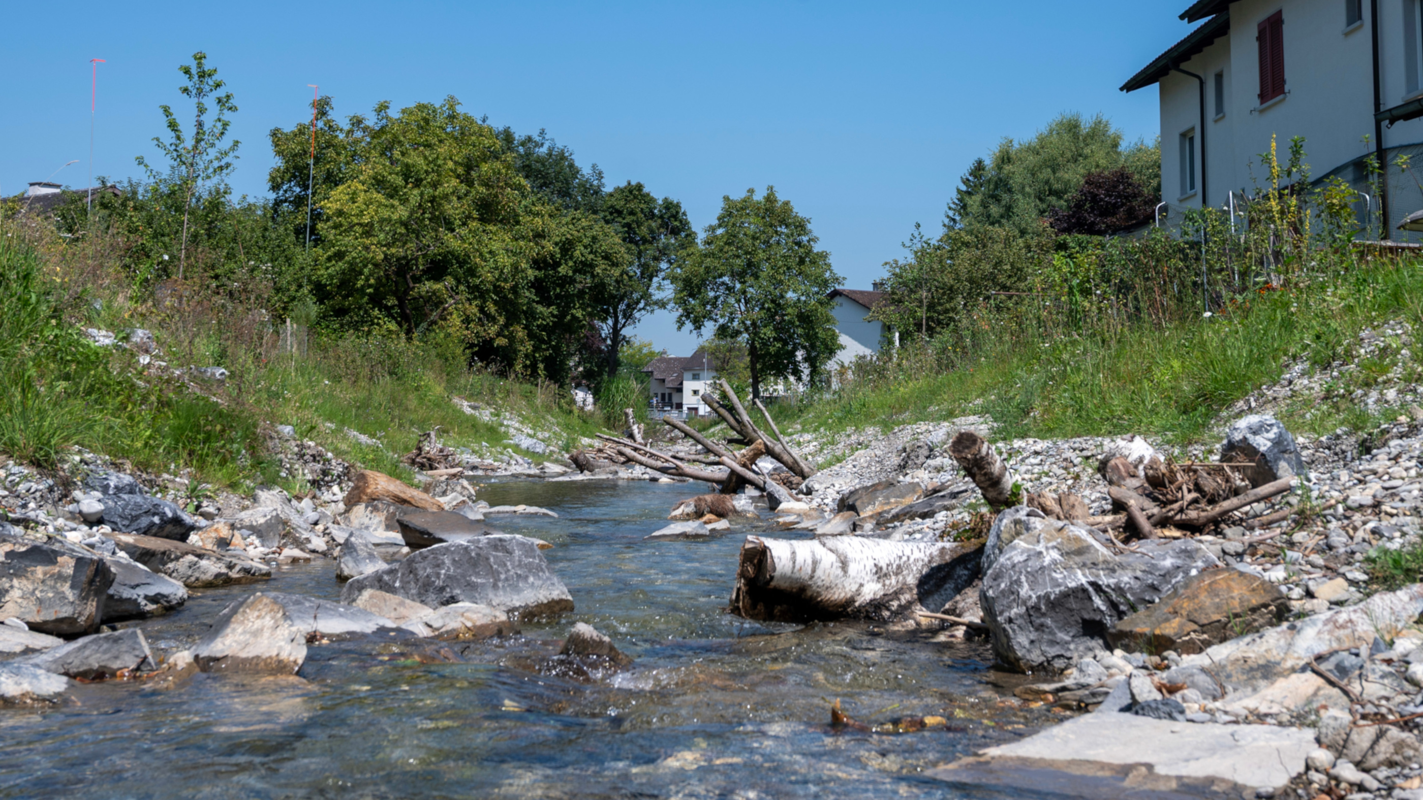 Sevelerbach Aline Dreifuss 1