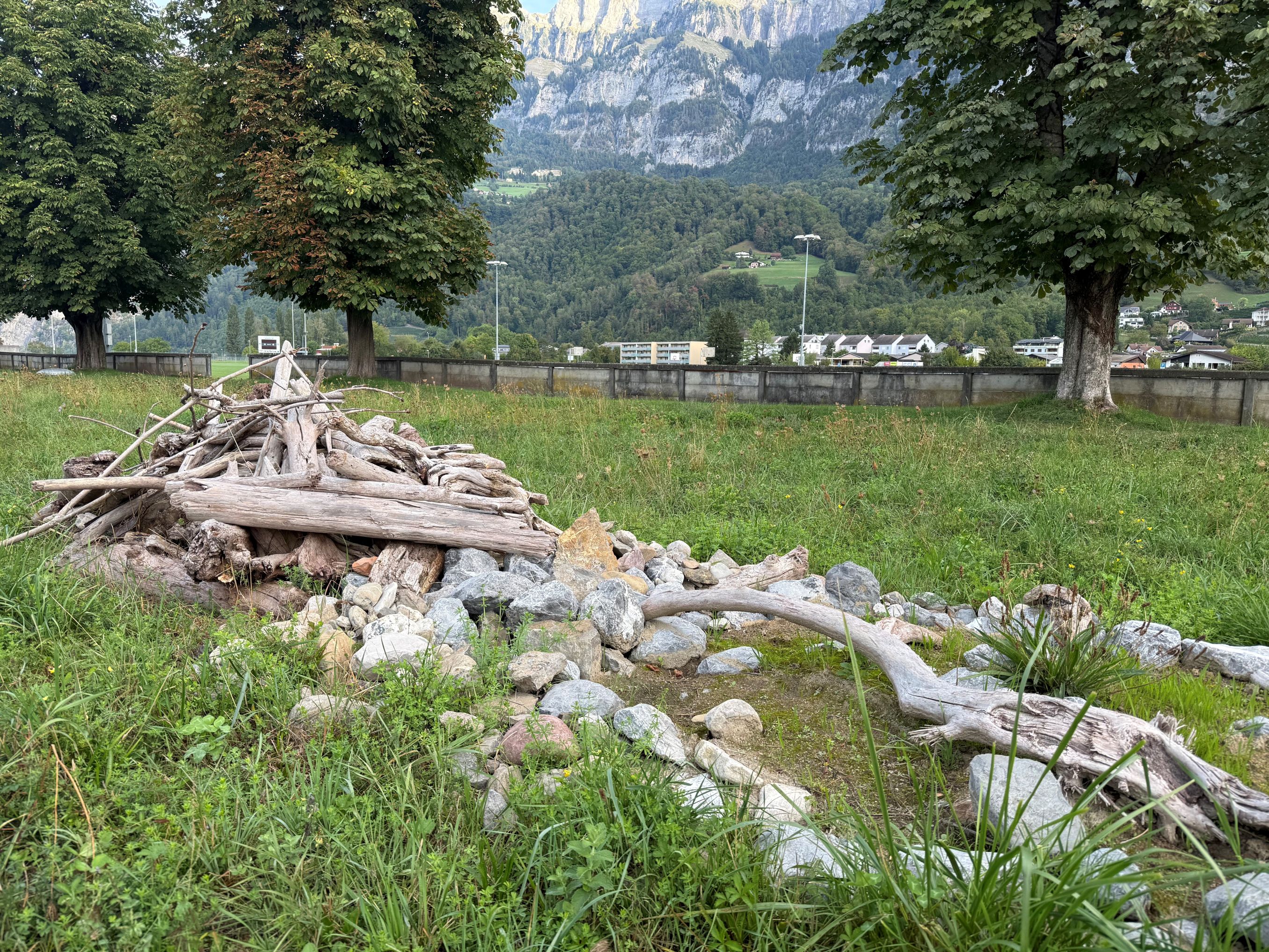Walenstadt Kleinstruktur Blumenwiese