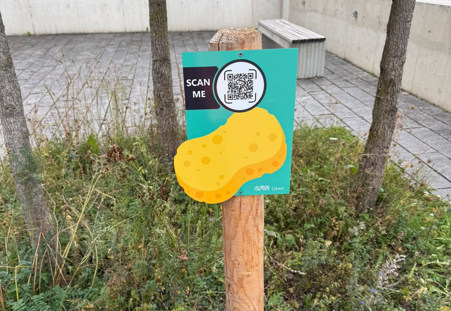 Uzwil Schwammstadt Trail 1