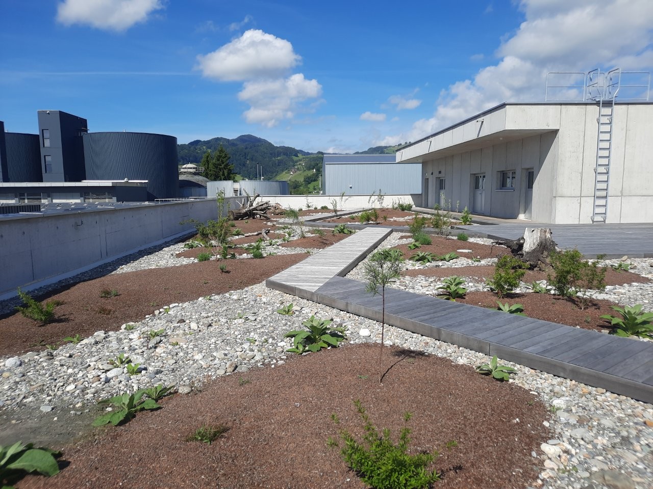 Rosenbergsau Dachgarten