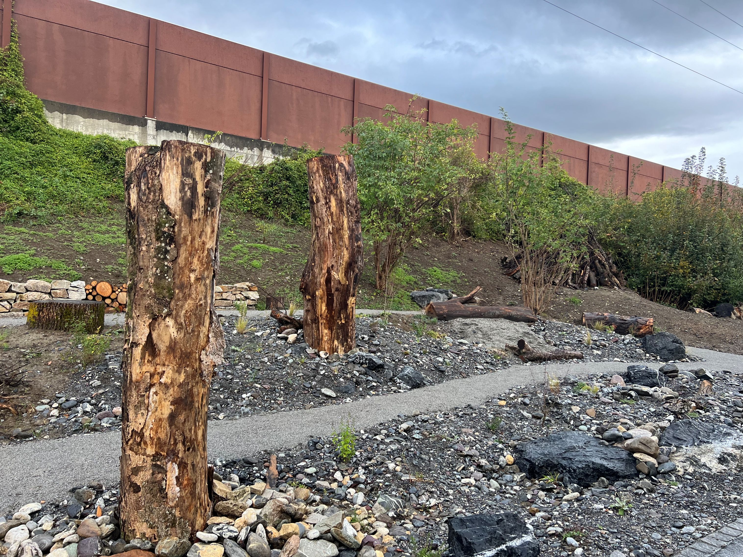 Rdz Sargans Totholz Naturinfo Wieenhütter