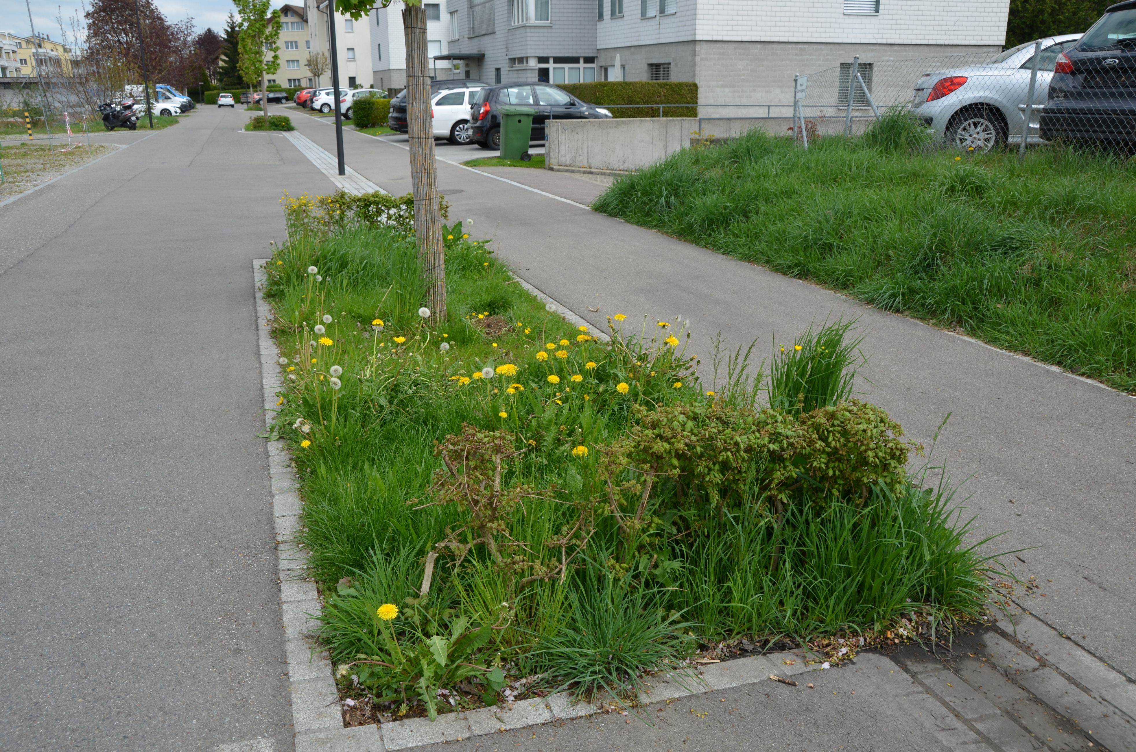 Dsc 9154 Wartstrasse